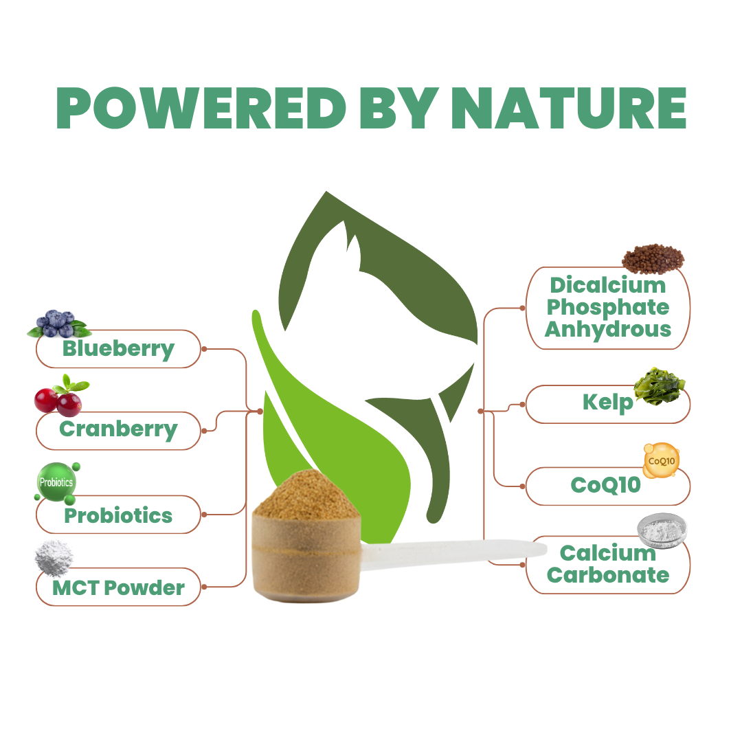 Kopo Dog Dental Powder – Natural Plaque & Breath Support Topper for All Breeds