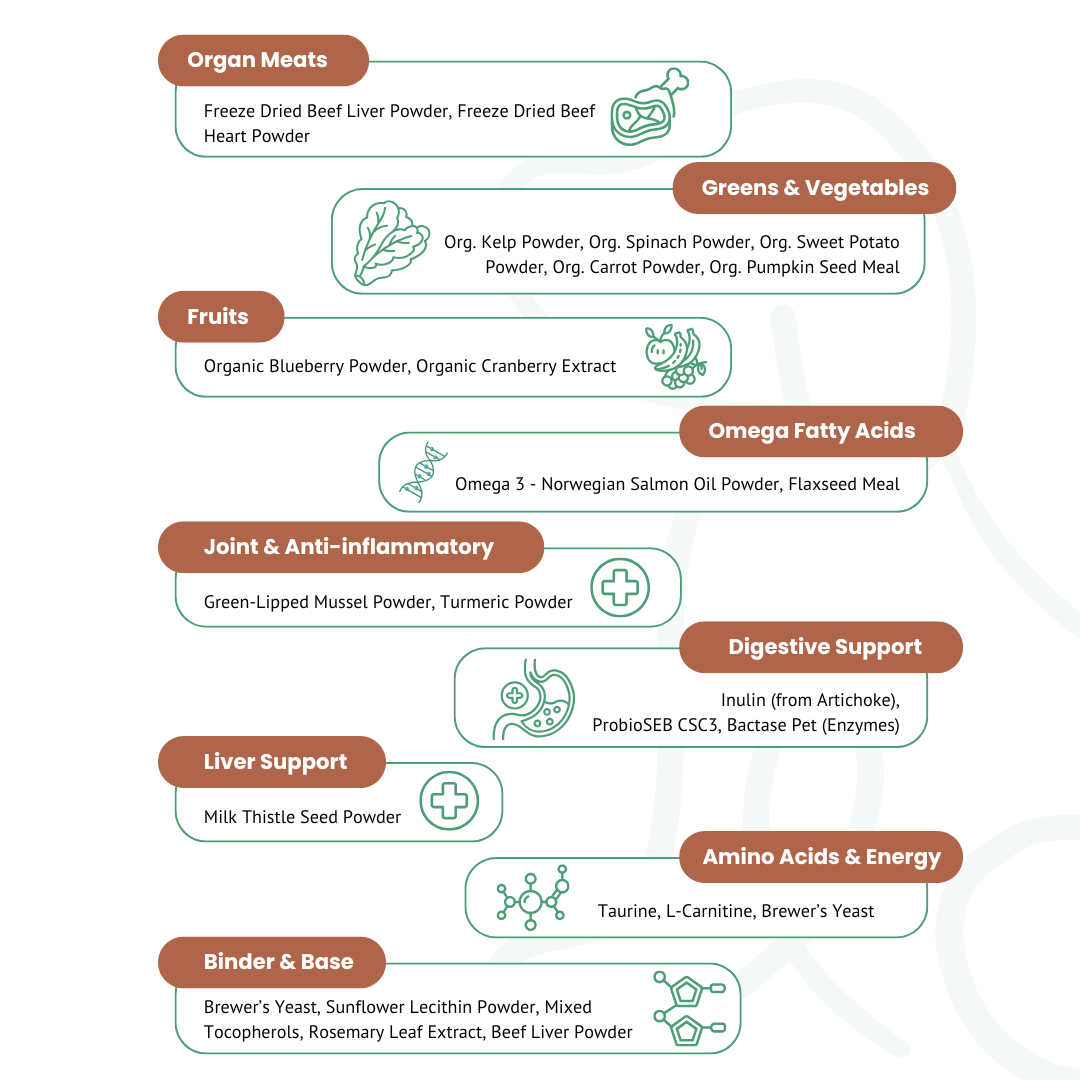 Kopo All-in-One Dog Multivitamin Powder – Natural Daily Vitamin & Mineral Supplement for Dogs