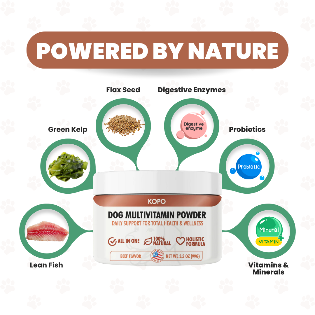 Kopo All-in-One Dog Multivitamin Powder – Natural Daily Vitamin & Mineral Supplement for Dogs