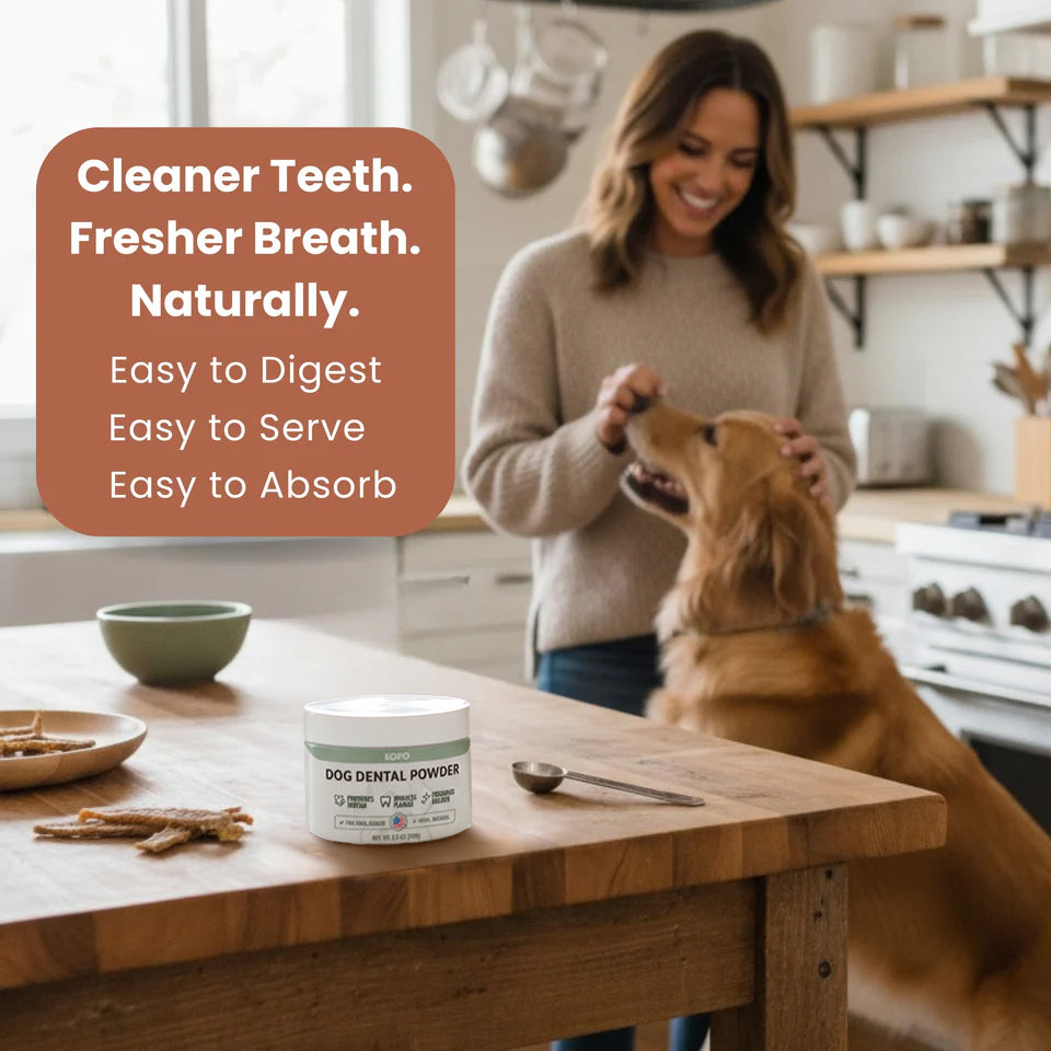 Kopo Dog Dental Powder – Natural Plaque & Breath Support Topper for All Breeds
