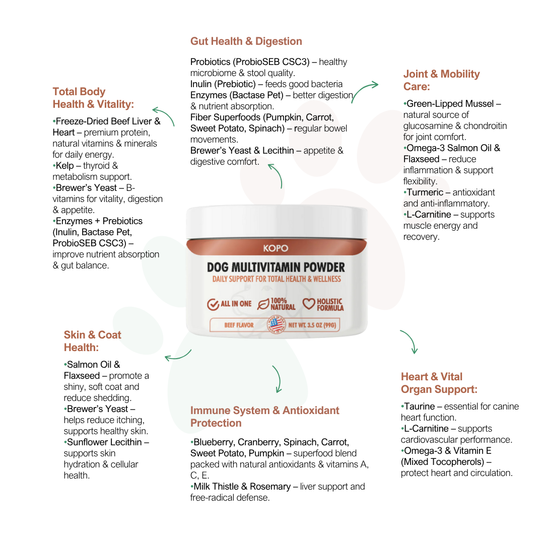 Kopo All-in-One Dog Multivitamin Powder – Natural Daily Vitamin & Mineral Supplement for Dogs