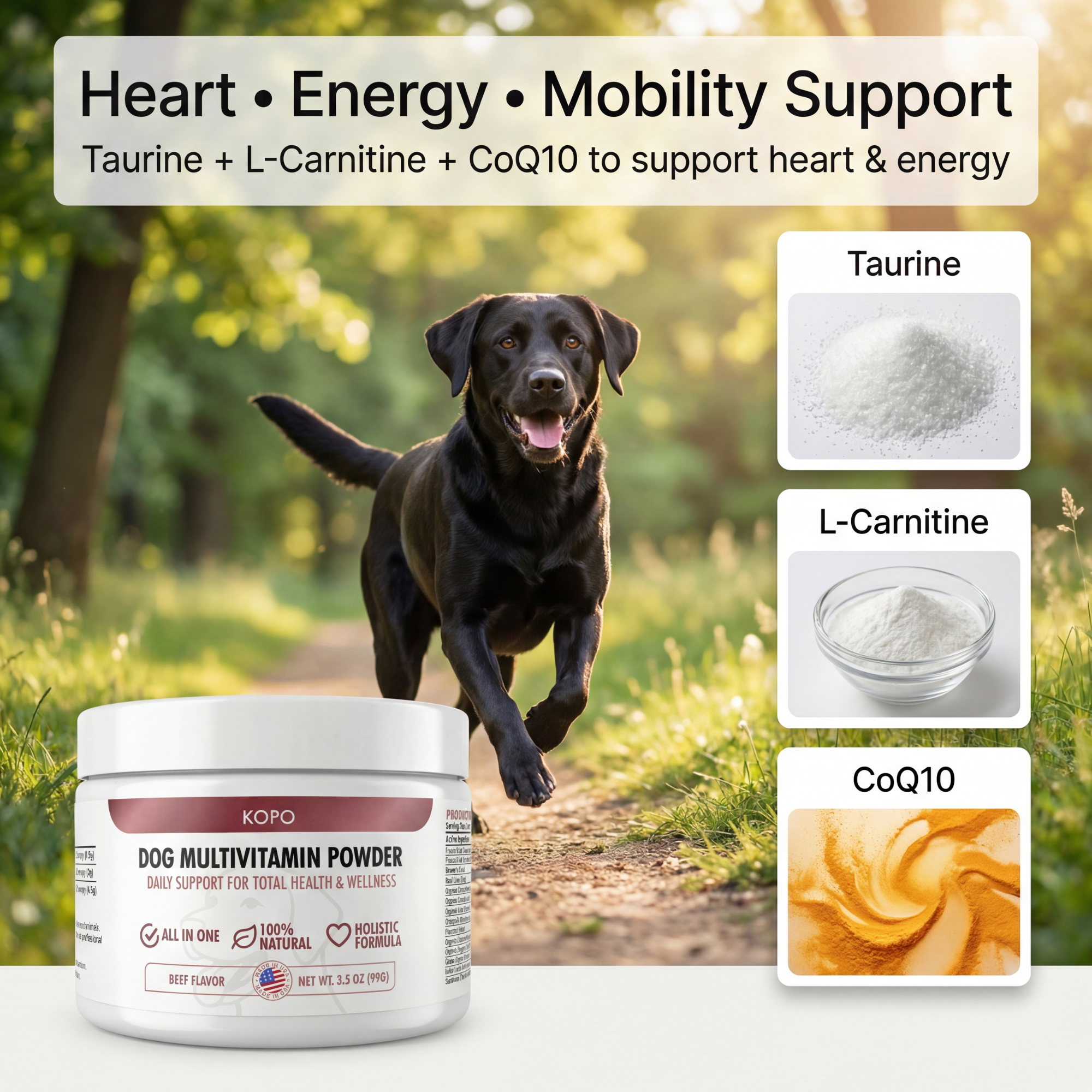 Kopo All-in-One Dog Multivitamin Powder – Natural Daily Vitamin & Mineral Supplement for Dogs